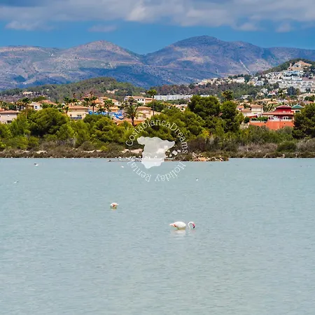 Lejlighed Costablancadreams Baupres In *